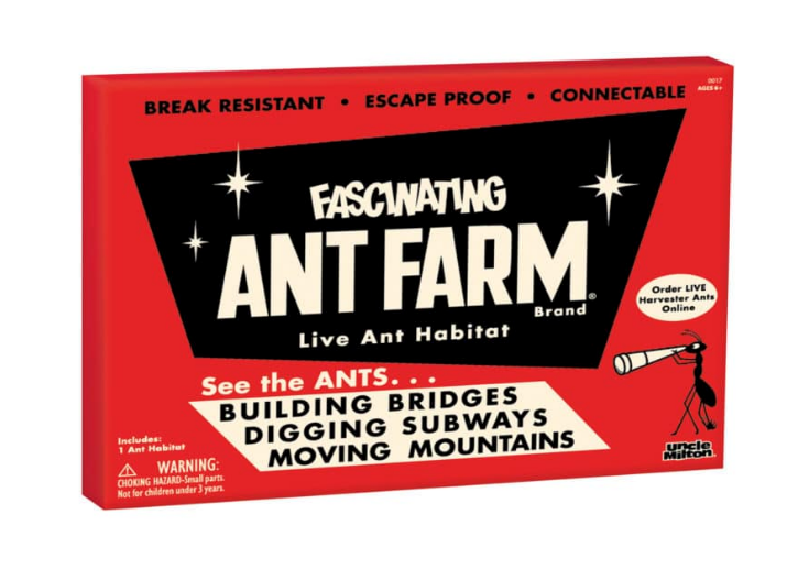 Retro Ant Farm