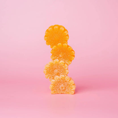 Crystal & Bloom Collection