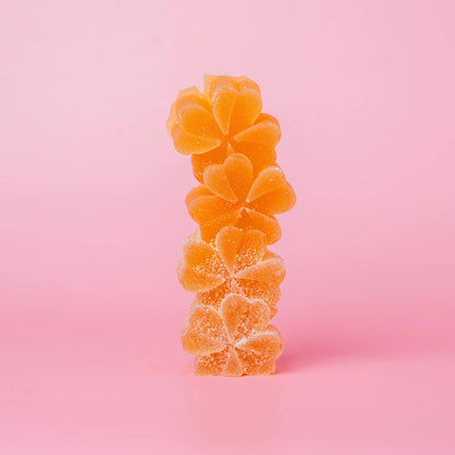 Crystal & Bloom Collection