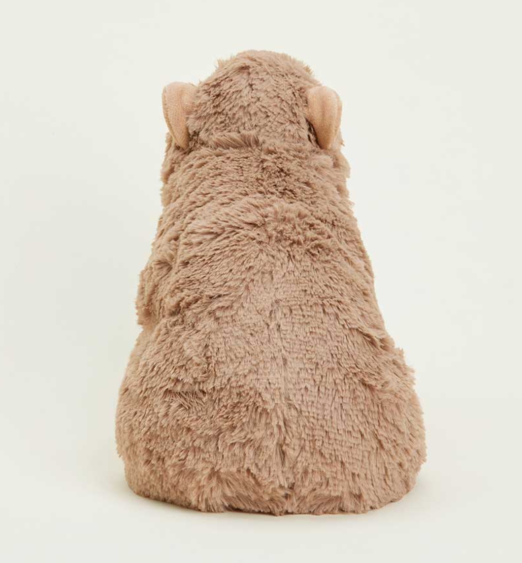 Capybara Warmies