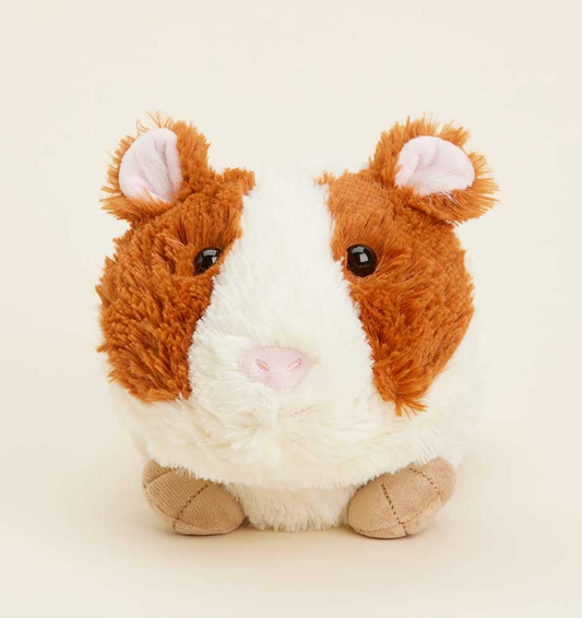Guinea Pig Warmies