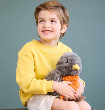 American Robin Warmies