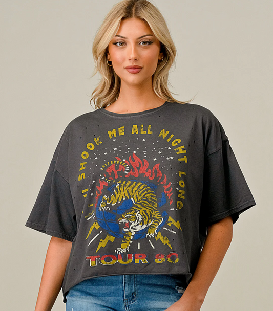 You Shook Me Oversized Vintage 1980's Vibe Distressed Cropped T-Shirt