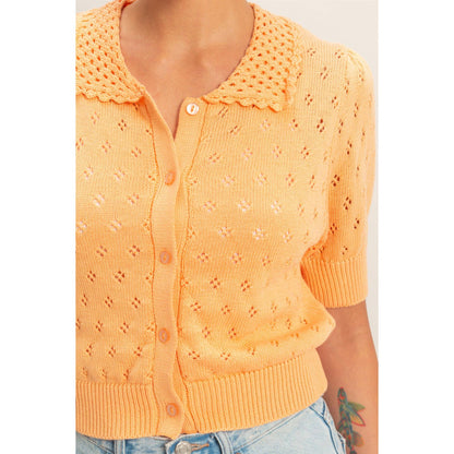 Pointelle Collar Button-Up Puff Sleeve Knit Top