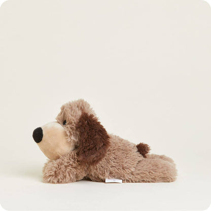 Brown Dog Warmies Junior